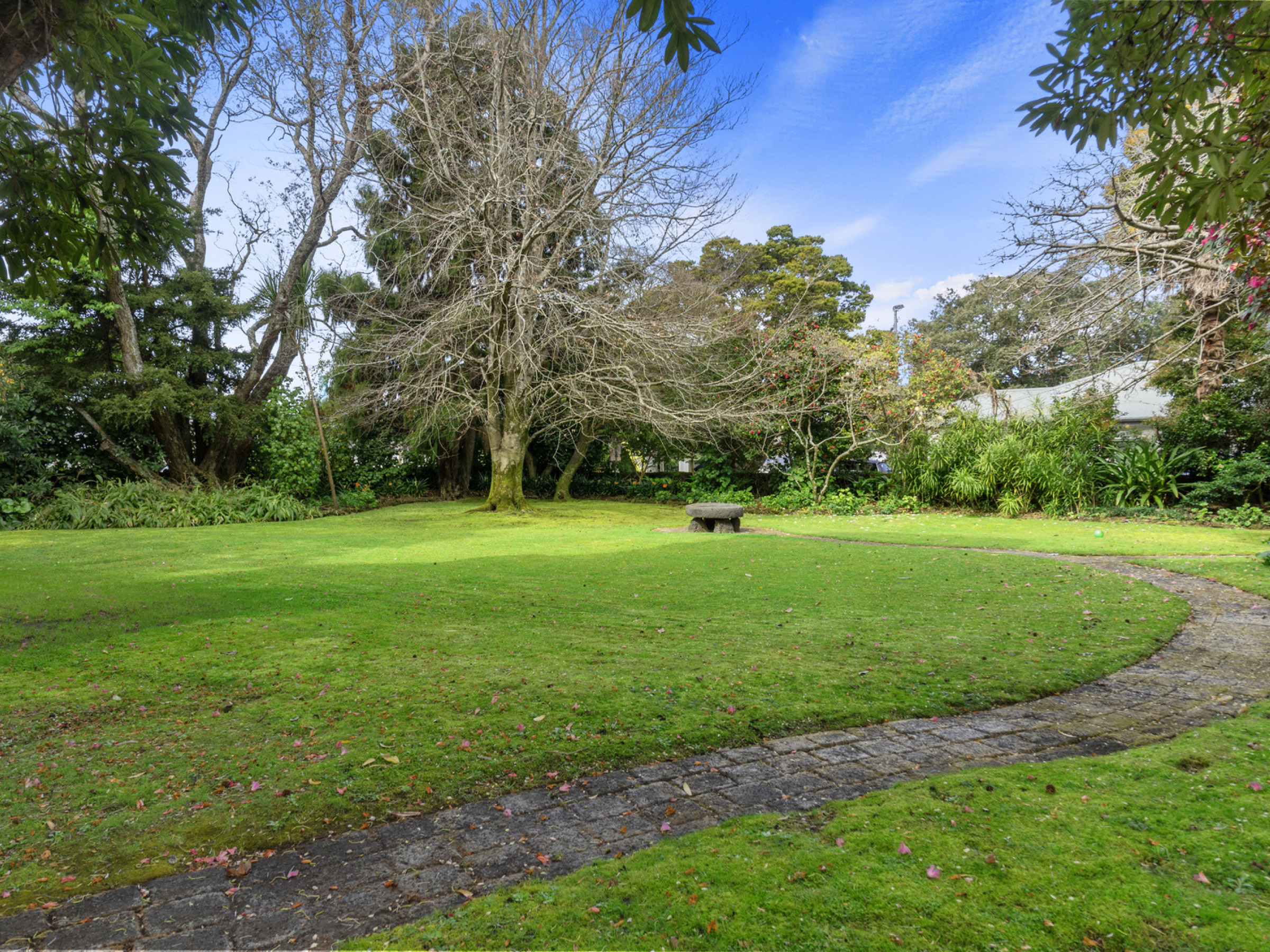 NZCB VOL9 06 171 Gillies Avenue Peter Grant 664 1600 16